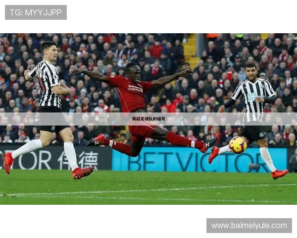 开运体育官方网站：为体育爱好者提供丰富赛事分析与运动健康知识的专业网站